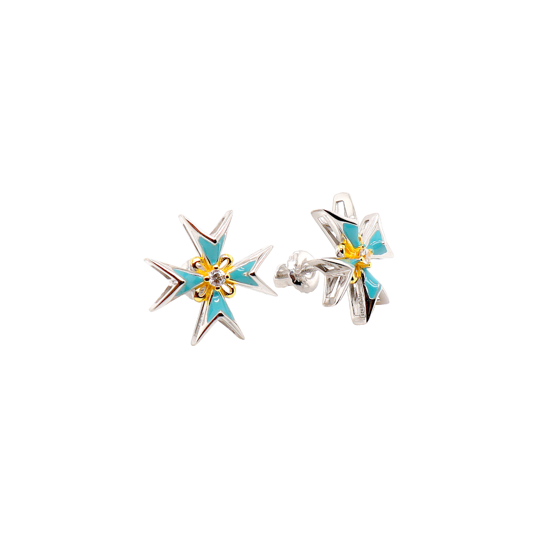 Enamel Earrings