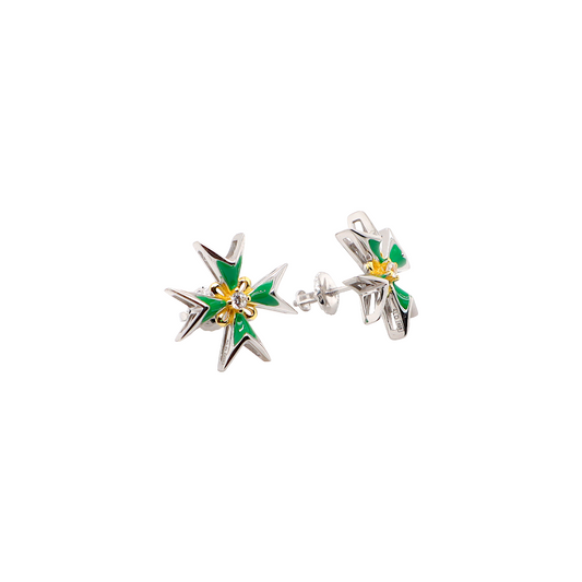 Enamel Earrings
