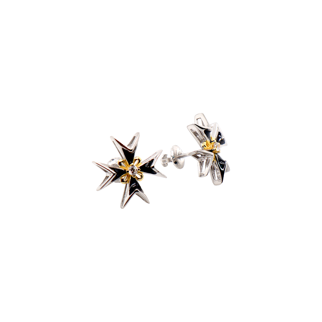 Enamel Earrings