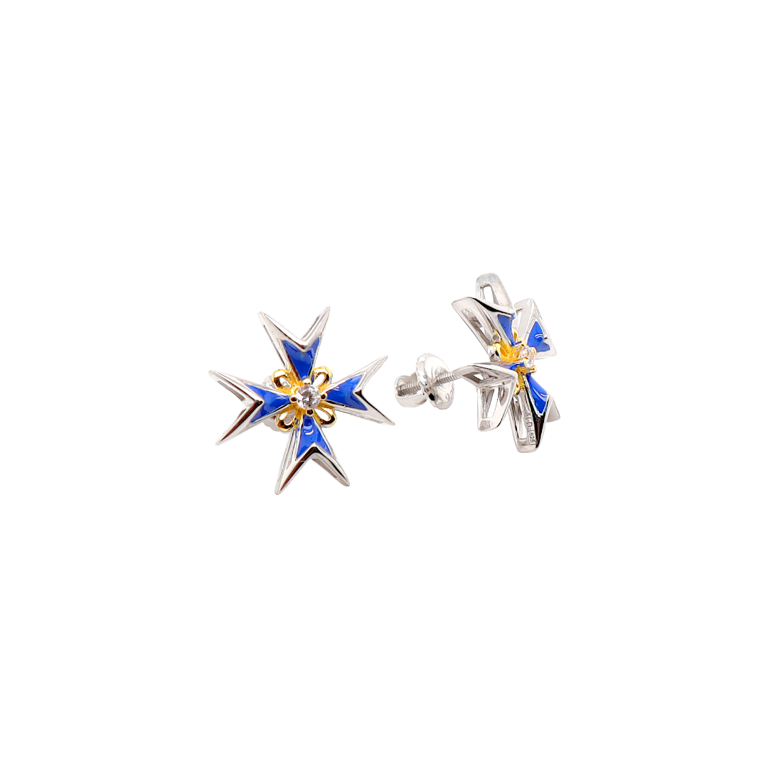 Enamel Earrings